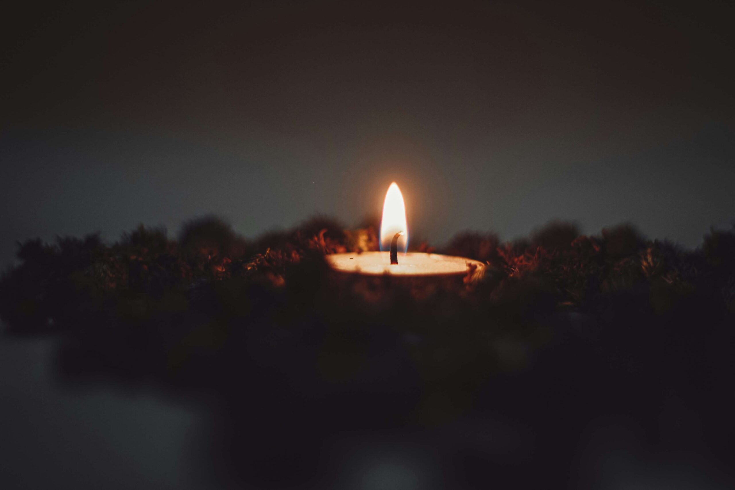 meghna r wa 32bvsryo unsplash